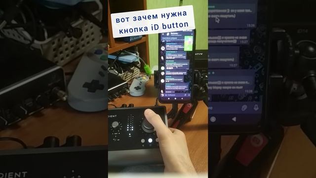 Секретная функция Audient iD14 mkII