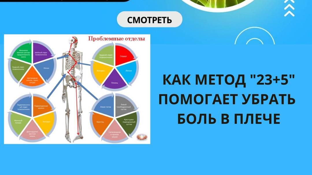 БОЛЬ В ПЛЕЧЕ ИЗ-ЗА НАРУШЕНИЯ ПОЗИЦИЙ КОСТЕЙ, ПОЗВОНОЧНИКА И ВНУТРЕННИХ ОРГАНОВ.