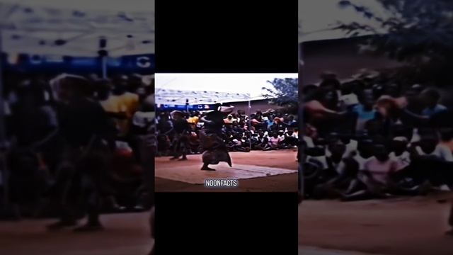 scene_output.mp4