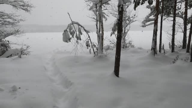 УТОЗЕРО. СМОТРИМ ПОД ЛЕД.