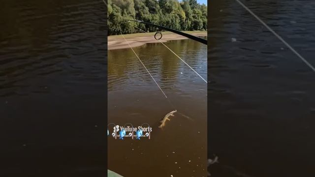 🎣Она Ловит🎣