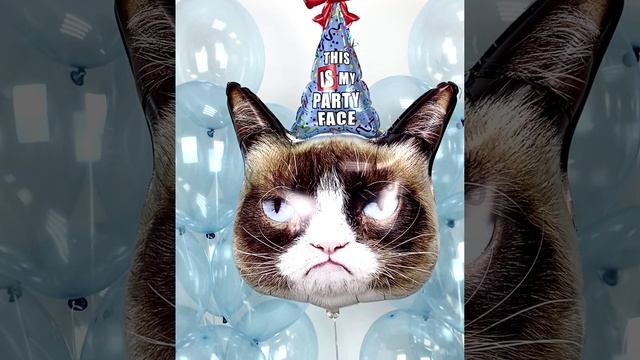 видео китбэллонсveg_MAGIX AVC-AAC MP4_kitballons  nv[46]