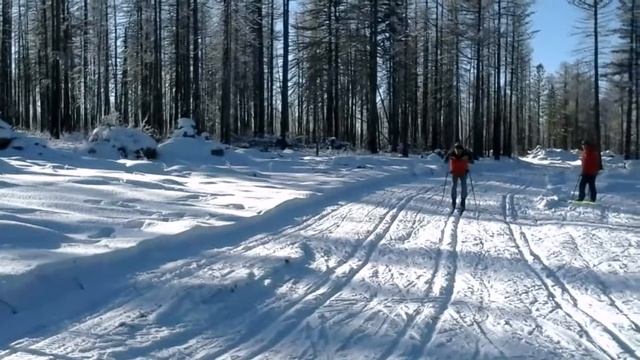 Открытие зимнего сезона 02 12 2017г ст Тайга г Кызыл РТ 5 км Мужчины 30 и старше