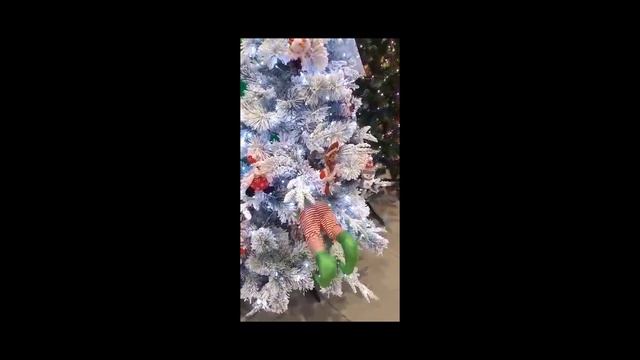 Ну Где Ты Где Ты!!!? Ну вылезай Шалун!!!