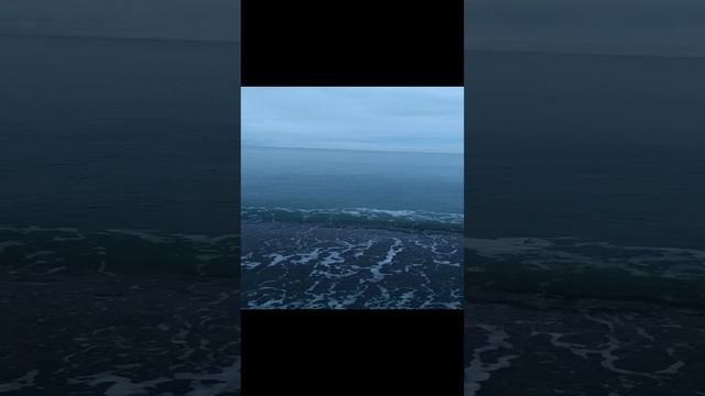 14.01.2025 Лазаревское