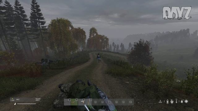 DayZ (Чистилище)