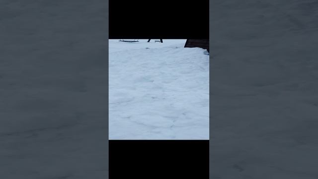 Снега ёптить...