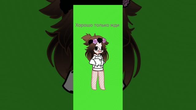 Я котик :3