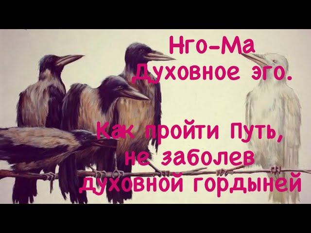 Нго-Ма 22. Духовное эго. Как пройти Путь, не заболев духовной гордыней.