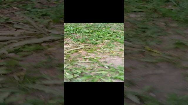 3 часть Грени в реальной жизни
