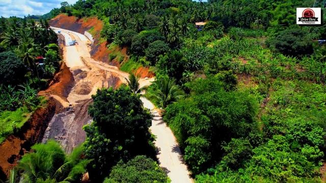 Metro Cebu Expressway Update July 11, 2021 (Segment 3 nearly completion)