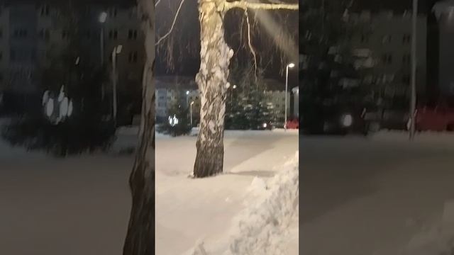 Зимний парк❤❤❤🎄🎄🎄