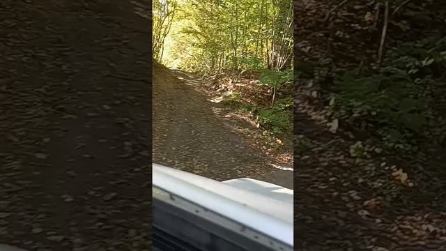 дорога в замок.mp4