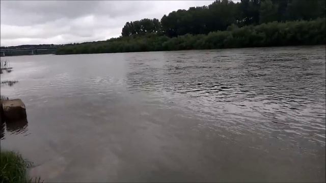 Савин Виталий-Жизнь развела.