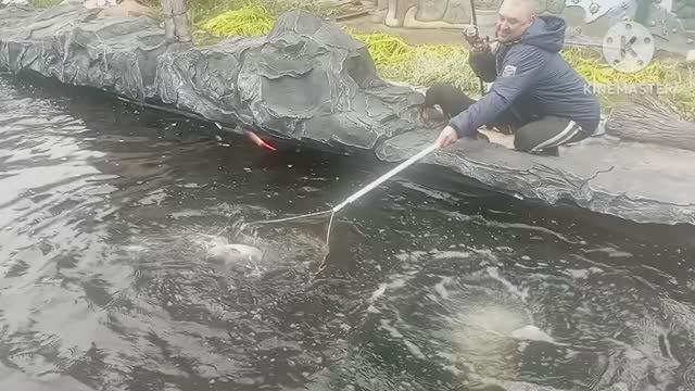 Последняя рыбалка в этом сезоне.