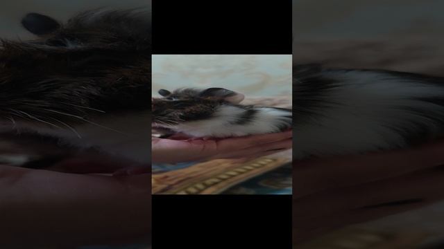 1000060287.mp4