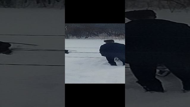 14-01-2025