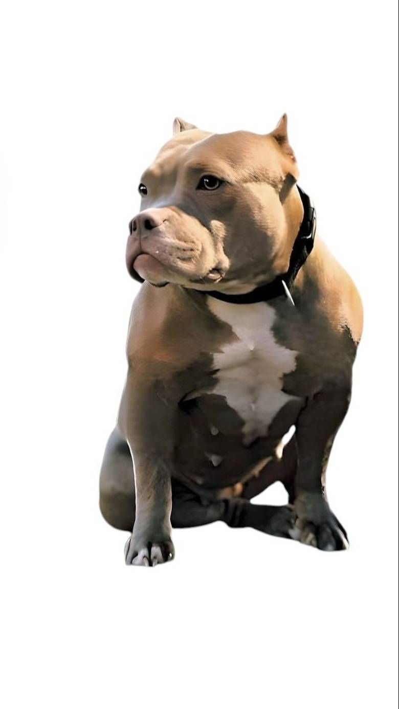 Знакомьтесь, Рокси