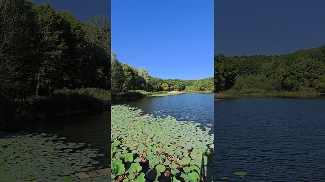 Парк Маршалково, город Строитель, Белгородская область