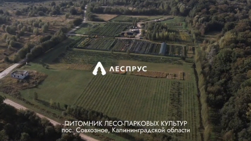 О питомнике лесопарковых культур леспрус
