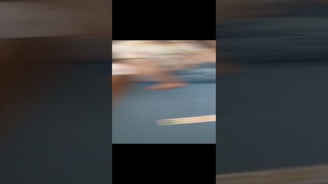 Саша играет с папой в домино #2024 #отец #сын #сашастуков
