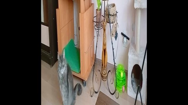 Для детей с 18 лет ,а Фили сколько?