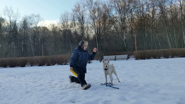 Муди Никас - барьер через ногу