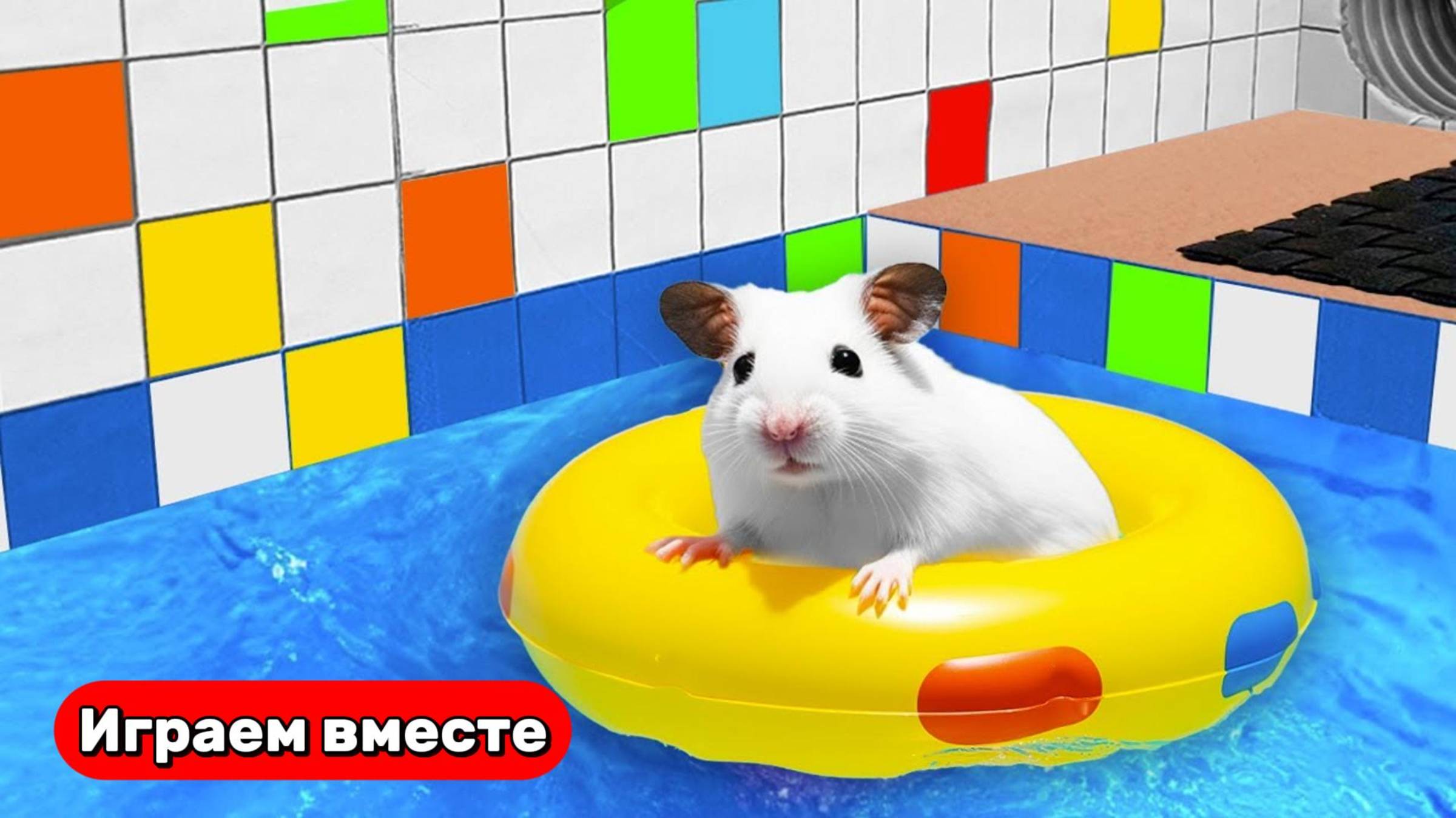 Бассейн для хомяка 🐹 Преодолеваем крутые ловушки ! Видео для детей
