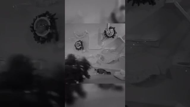 Продолжим тему приютов)