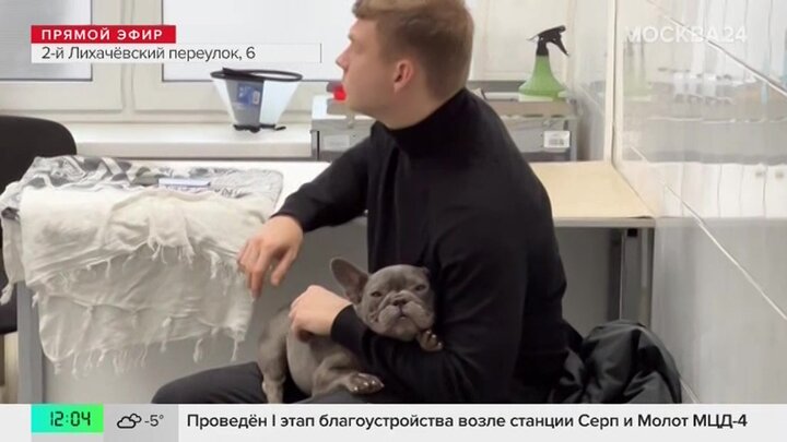 Московские госветклиники помогли почти 500 тыс питомцев за год