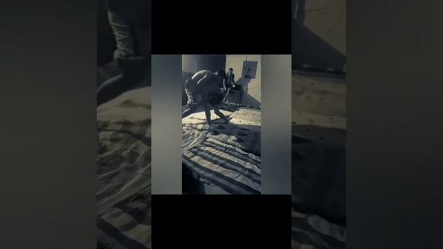 Борьба разных весовых категориях