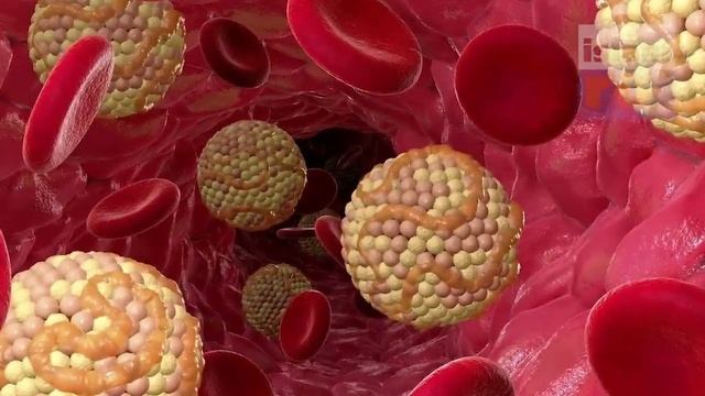 Как Коран раскрыл тайну молока_