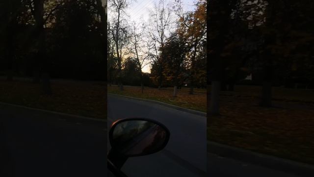 4275.mp4