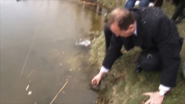 Зариблення озера Чеха