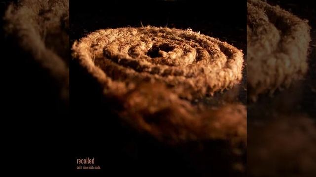 The Downward Spiral (A Gilded Sickness)