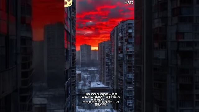 За год #аренда однокомнатных квартир подорожала на 31,4%