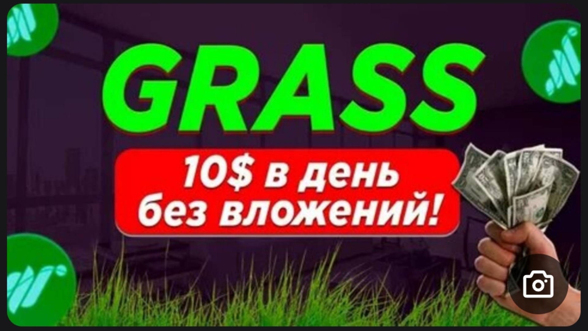 Код grass:  hO6X8PH6KdXuw6Z  Grass code: hO6X8PH6KdXuw6Z