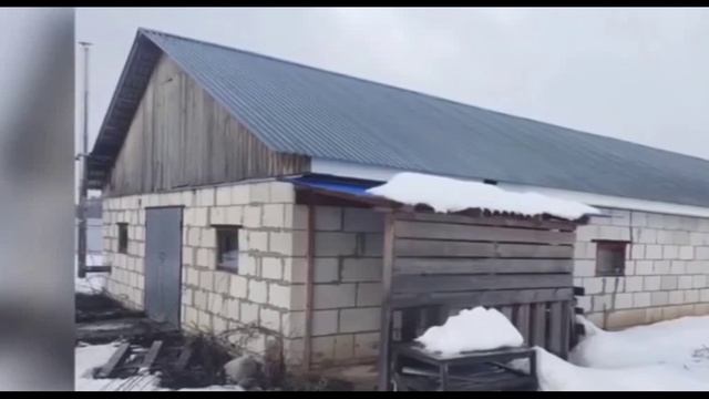 Брянщина_ Чубы бьют снаружи, мигранты изнутри...