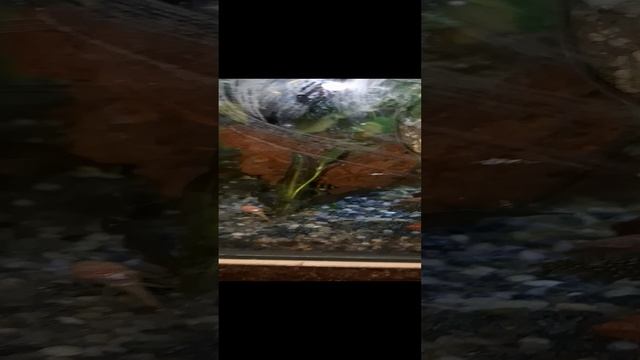 1000039711.mp4