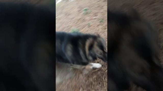 Пришла поднять ей настроение.
