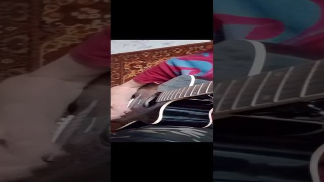 Сектор Газа🎸пора домой 🎸