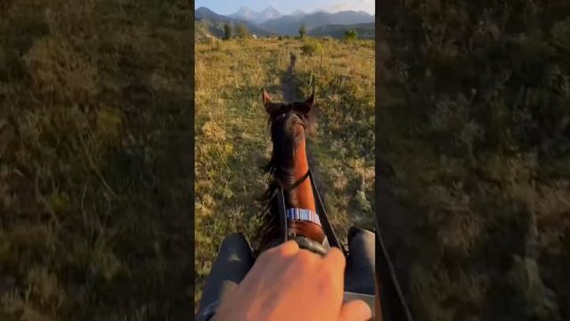 Оно такое 🫡