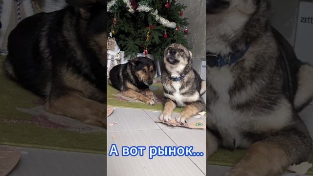 Новогодний беспредел