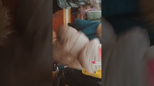 1000002398.mp4
