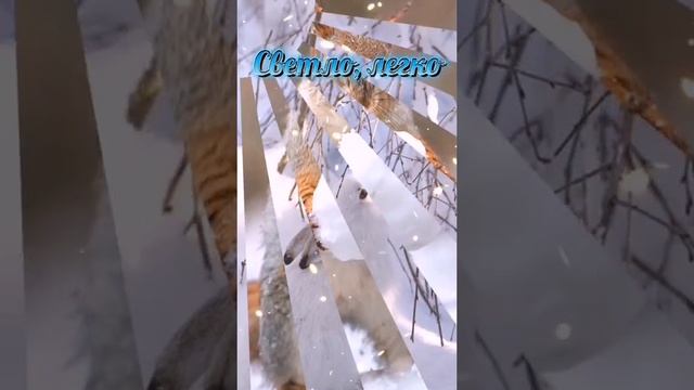 Доброе утро!
