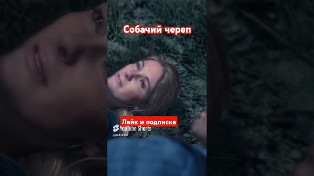 Собачий череп Жизнь после