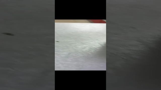 1000041259.mp4