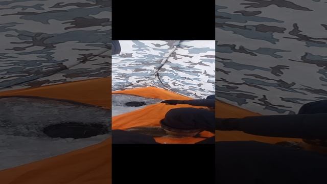 1000019758.mp4