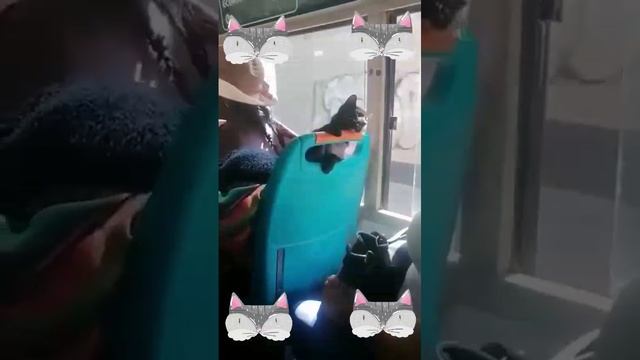 Игры в поездках