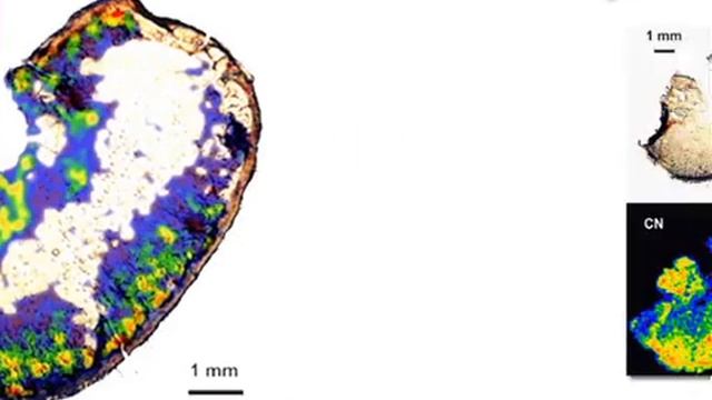 Laser-induced Breakdown Spectroscopy : Nanoparticle's Mapping | Protocol Preview